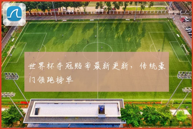 世界杯夺冠赔率最新更新,传统豪门领跑榜单
